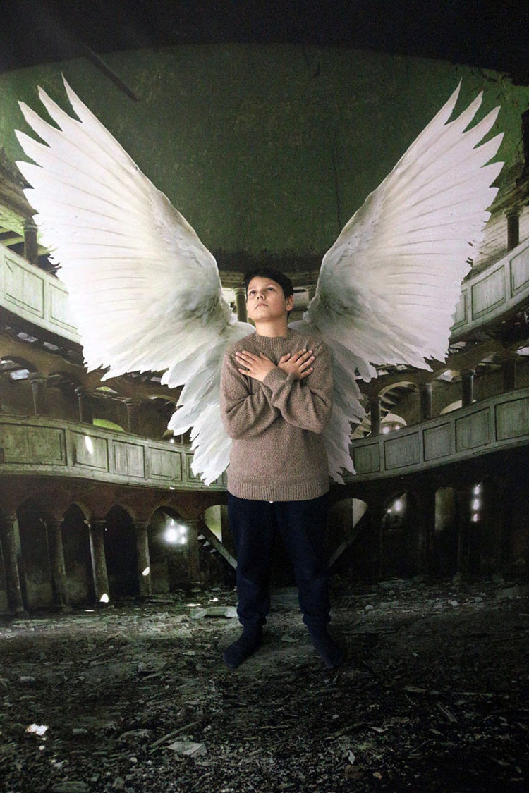 Аглаонема крылья ангела фото и описание