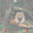Укротитель тигров. Фотофон на Год тигра