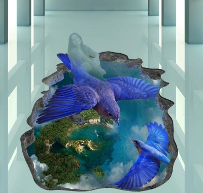 Райские птицы над островом Макет 3D картины "Райские птицы" для печати наклейки на пол