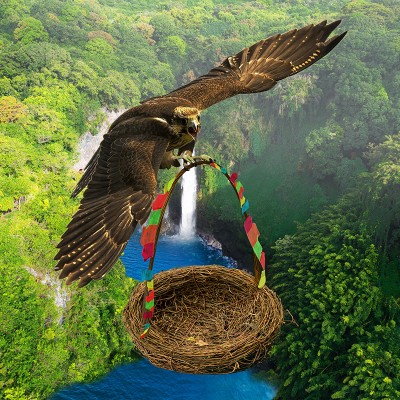 Орлиное гнездо Макет 3D картины "Полет орла. Гнездо" для печати баннера на пол и стену