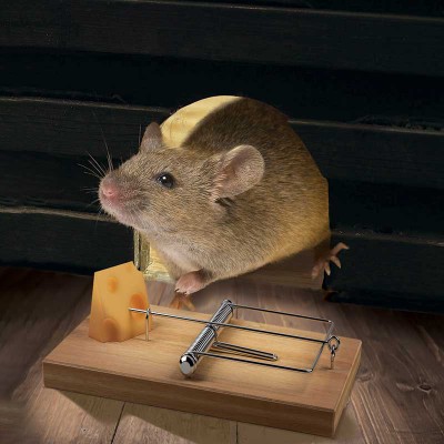 Мышеловка с сыром Макет 3D картины "Мышь в мышеловке" для печати баннера на пол и стену