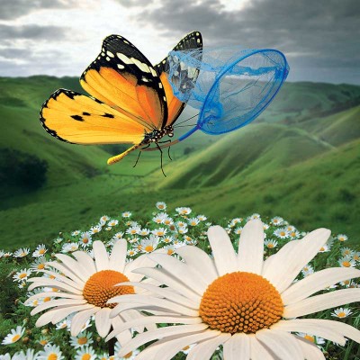 Бабочка с сачком Макет 3D картины "Бабочка с сачком" для печати баннера на пол и стену