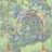 Ягоды в лесу 3Д иллюзия